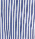 swatch_Blue Stripe joh josana button down