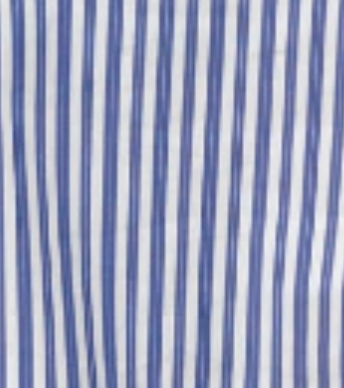 swatch_Blue Stripe joh josana button down