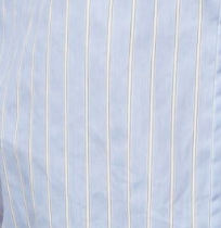 swatch_Blue striped button down shirt
