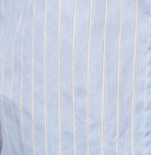 swatch_Blue striped button down shirt