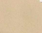 swatch_Bone/Mocha gola torpedo sneakers