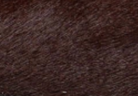swatch_Bordo Haircalf l'idea haircalf penny loafer