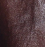 swatch_Brown Combo head start jacket apparel