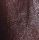 swatch_Brown Combo head start jacket apparel