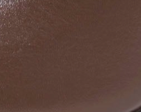 swatch_Brown Leather nova roma high heel pump