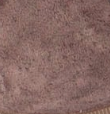 swatch_Brown Suede victoria londres double lace sneaker