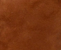 swatch_Brown Suede dolce vita qaily wedge sandal