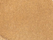 swatch_Brown Sugar elan sneaker gola