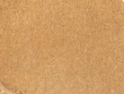 swatch_Brown Sugar elan sneaker gola