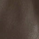 swatch_Brown nala leather gloves