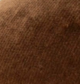 swatch_Brown velvet mary jane