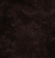 swatch_Brown blank nyc suede funnel neck jacket