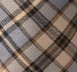 swatch_Brown/Blue Plaid lace inset maxi dress