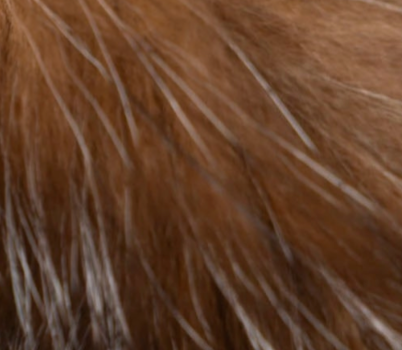 swatch_Brown fur earmuffs