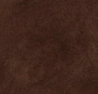 swatch_Brown como italian suede fringe toate