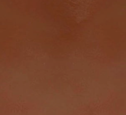 swatch_Brown solace tote bag