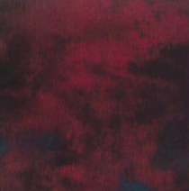 swatch-Burgundy tess mesh top