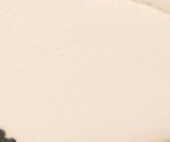 swatch_Butter/Forest back70 cloud w6 sneaker