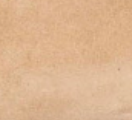 swatch_Camel Suede studded loafer