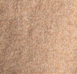 swatch_Camel john and jenn charlie v-neck sweater
