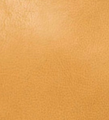 swatch_Camel latico fiona leather crossbody bag