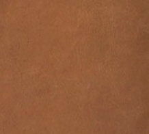 swatch_Caramel Leather stefenia platform sandal angel alarcon