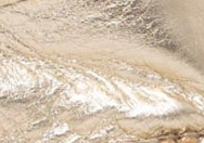 swatch_Champagne Leather fabiolas susana mary jane espadrille