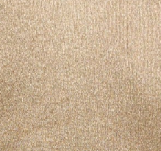 swatch_Champagne colette lurex shirt