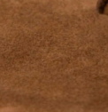 swatch_Chestnut Suede steve madden tracie thong sandal