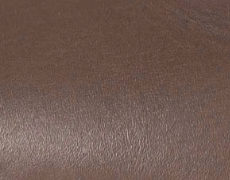swatch_Chestnut alohas sway ballet flat