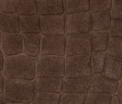 swatch_Chocolate Croc dolce vita roxla knee high boot