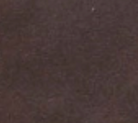 swatch_Chocolate Suede l'idea sneakerina