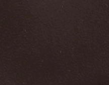 swatch_Chocolate Vegan Leather coconuts fernando kitten heel sandal