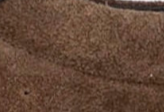 swatch_Chocolate 4ccccees kapok pinto sneaker