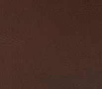 swatch_Chocolate maeve tote