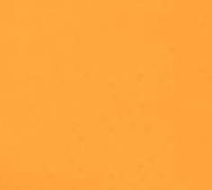 swatch_Clementine gola firefly sneakers