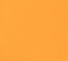 swatch_Clementine gola firefly sneakers