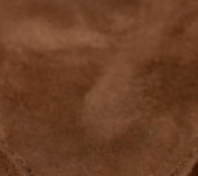 swatch_Cocoa Suede vagabond evie heeled thong sandal