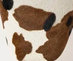 swatch_Cocoa Hair calf