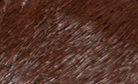 swatch_Coffee Haircalf nanku l'idea shearling lined mule