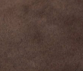 swatch_Coffee Suede vagabond sammie loafers