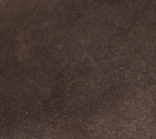 swatch_Coffee jolin mary jane flats