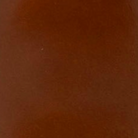 swatch_Cognac Leather fay ankle boots