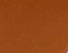 swatch_Cognac Vegan Leather coconuts porter kitten heel sandal