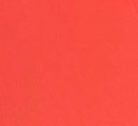 swatch_Coral archies arch support flip flop flat sandals