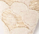 swatch_Cream Lace roberto festa falara pump