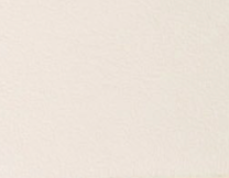 swatch_Crema inuovo platform leather sandal