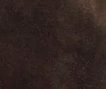 swatch_dark brown suede tulsa western boot boots