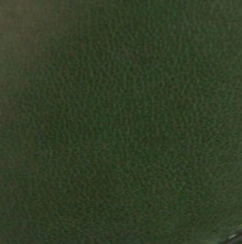 swatch_Dark Green Leather loafer