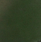 swatch_Dark Green Leather loafer